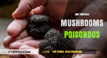 Truffle Treasures or Toxic Traps? Unveiling the Mystery
