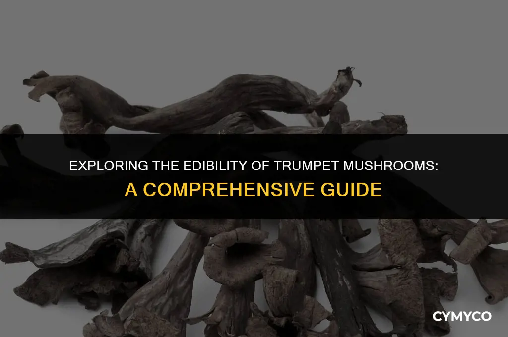 are trumpet mushrooms poisonous