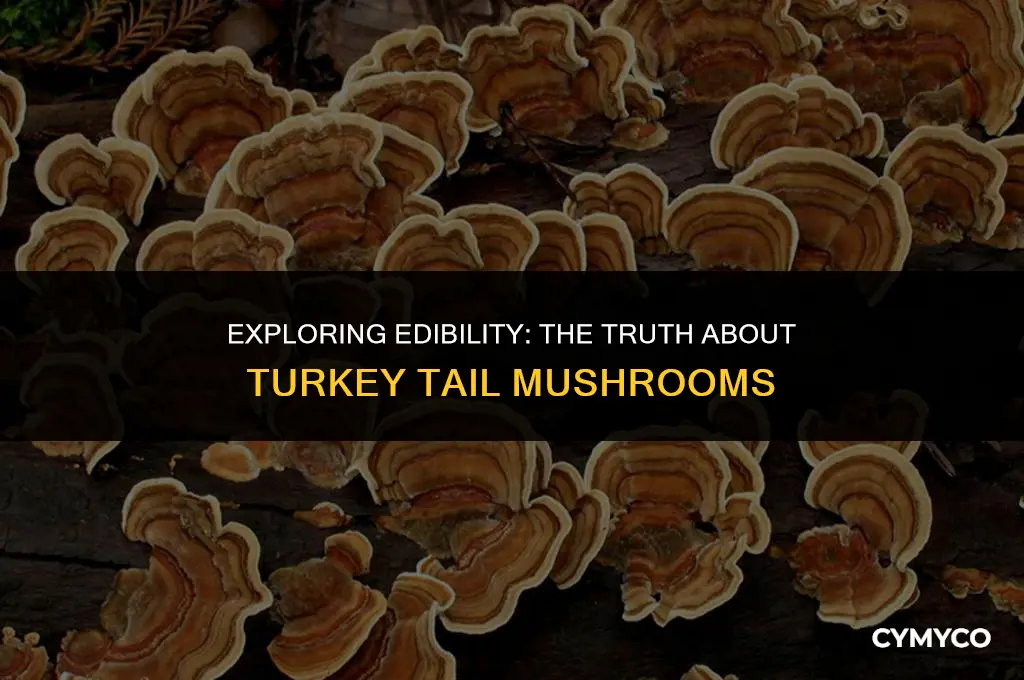 are turkey tail mushrooms good to eat