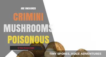Exploring the Edibility of Raw Crimini Mushrooms: A Comprehensive Guide