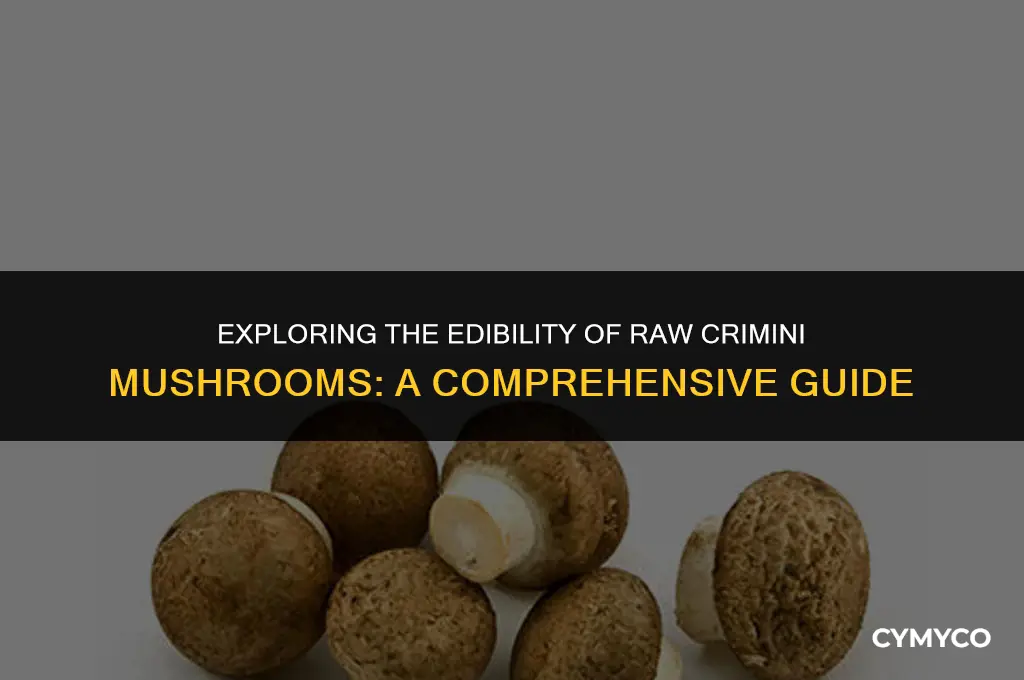 are uncooked crimini mushrooms poisonous