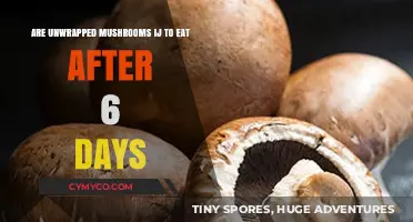 Unwrapping the Truth: Are Mushrooms Safe to Eat After Six Days?