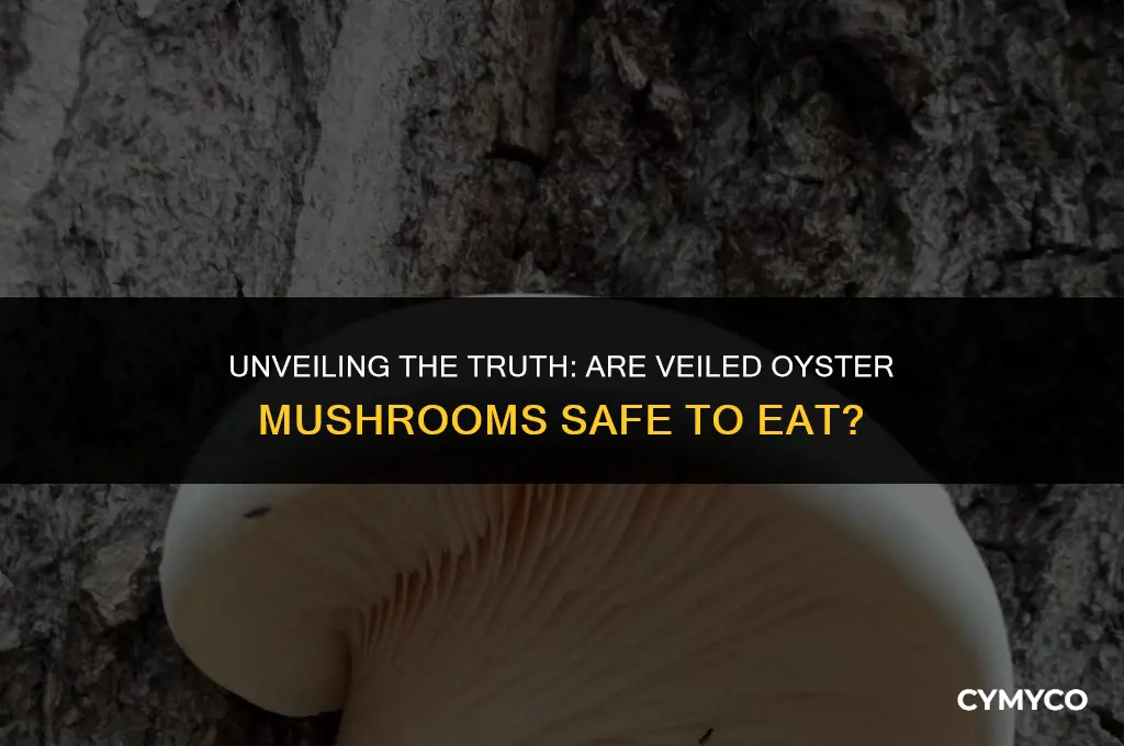 are veiled oyster mushrooms edible