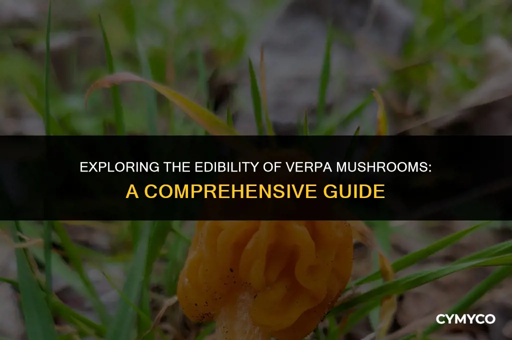 are verpa mushrooms edible