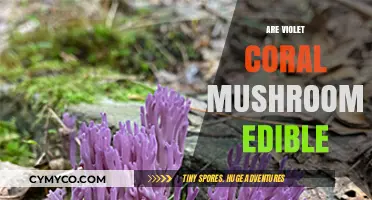 Exploring the Edibility of Violet Coral Mushrooms: A Comprehensive Guide