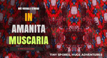 Exploring the Visual Potency of Amanita Muscaria: A Comprehensive Guide