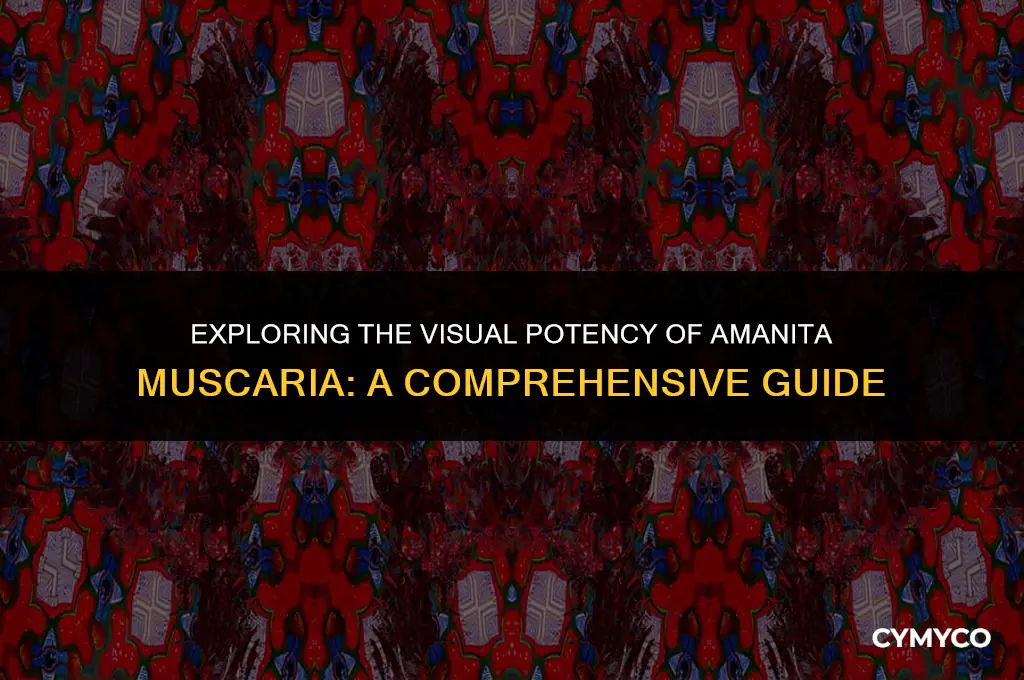 are visuals strong in amanita muscaria