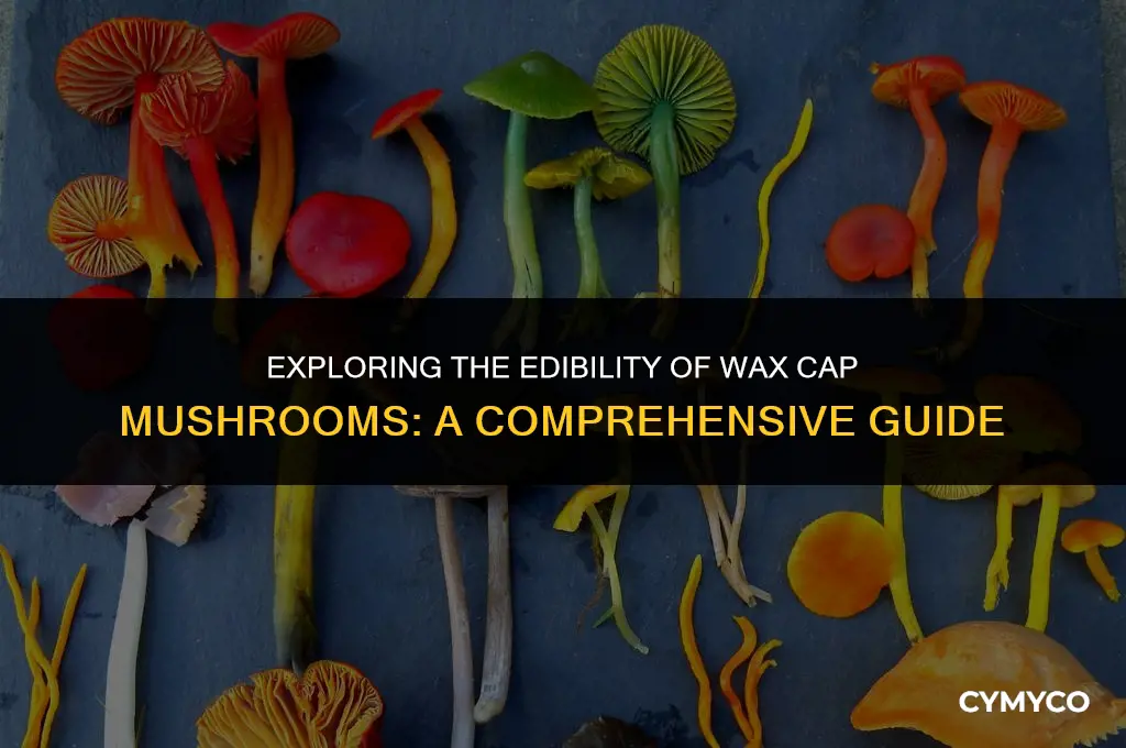are wax cap mushrooms poisonous