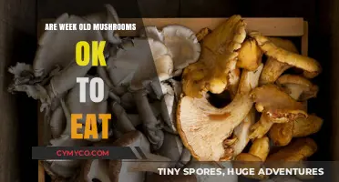 Freshness Matters: A Guide to Enjoying Mushrooms Safely
