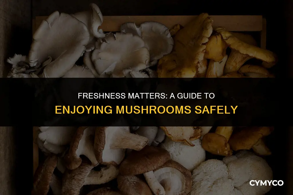 are week old mushrooms ok to eat