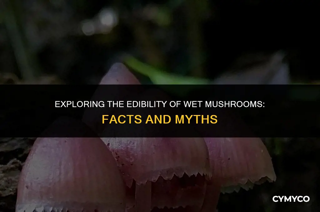 are wet mushrooms bad