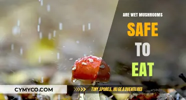Exploring Edibility: The Truth About Consuming Wet Mushrooms