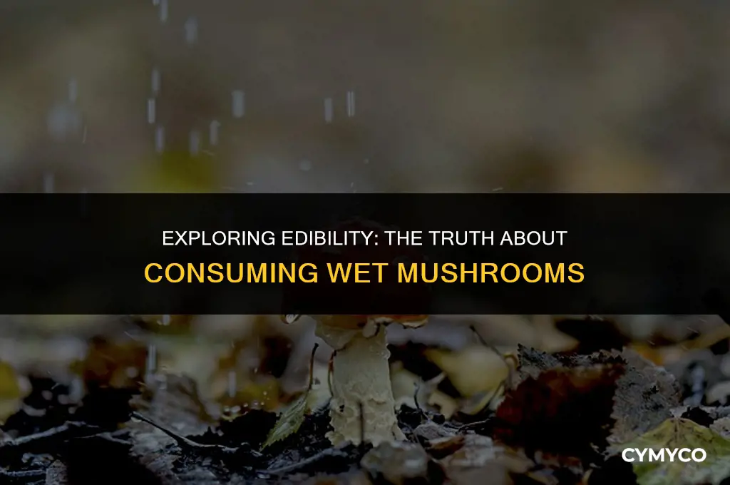are wet mushrooms safe to eat