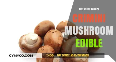 Exploring Edibility: The Truth About White Bumpy Crimini Mushrooms