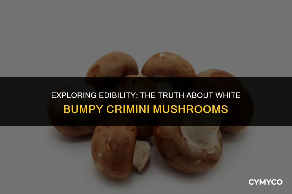 are white bumpy crimini mushrooms edible