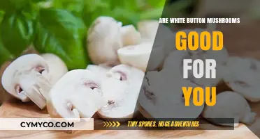 Exploring the Health Benefits of White Button Mushrooms