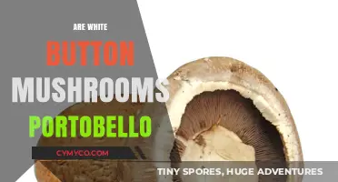 Exploring the Myth: Are White Button Mushrooms Really Portobello?