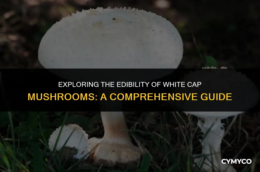 are white cap mushrooms poisonous