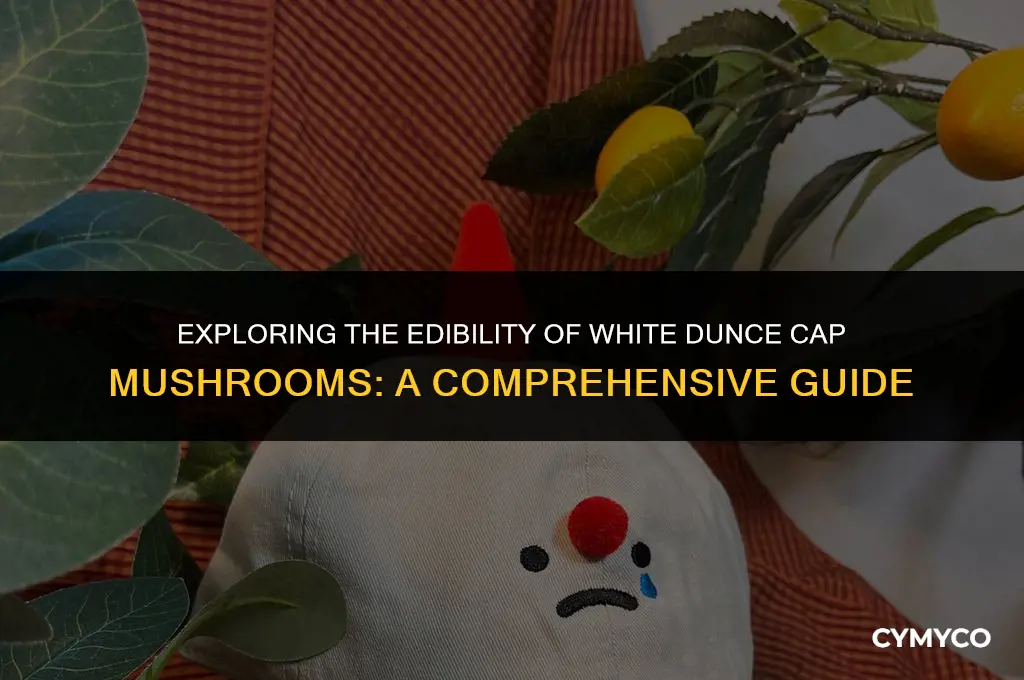 are white dunce cap mushrooms poisonous