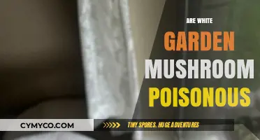 Exploring the Edibility of White Garden Mushrooms: A Comprehensive Guide