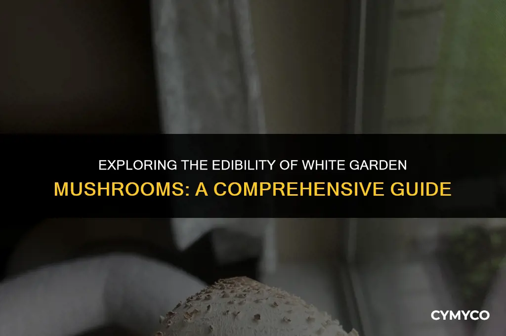 are white garden mushrooms poisonous