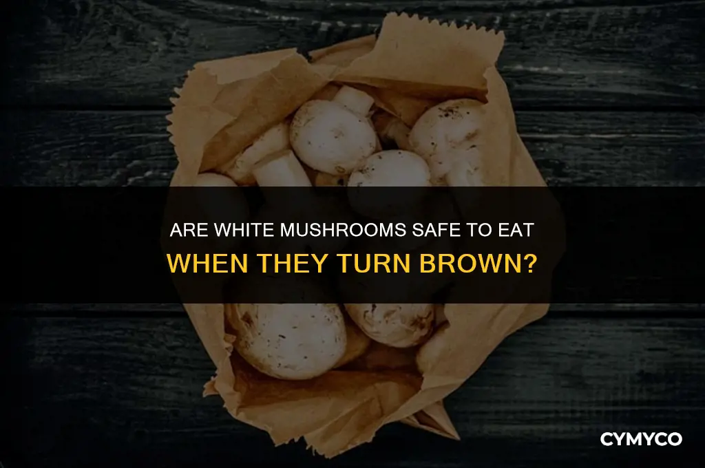 are white mushrooms bad when they turn brown