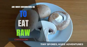 Exploring Edibility: Are White Mushrooms Safe to Eat Raw?