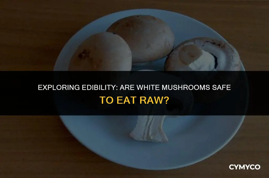 are white mushrooms ok to eat raw