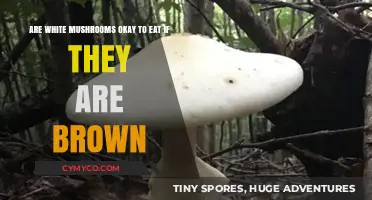 Edible or Not? The Truth About White Mushrooms with Brown Spots