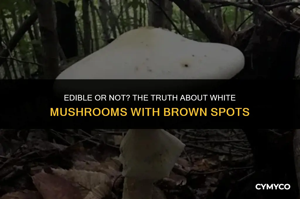 are white mushrooms okay to eat if they are brown