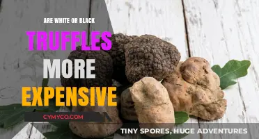 Unveiling the Mystery: White vs. Black Truffles - A Price Comparison