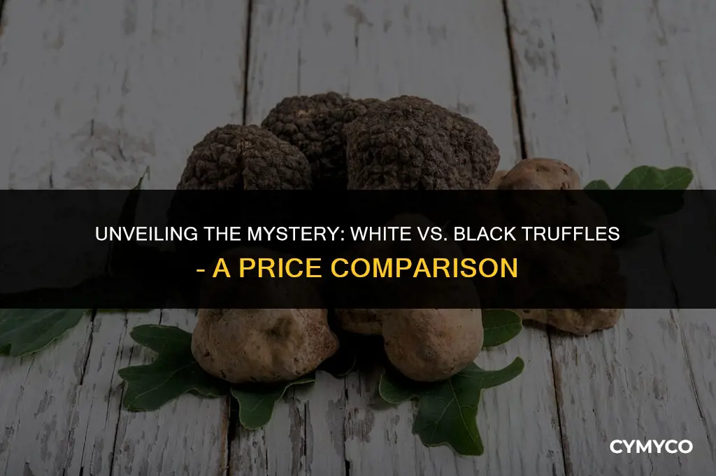 are white or black truffles more expensive