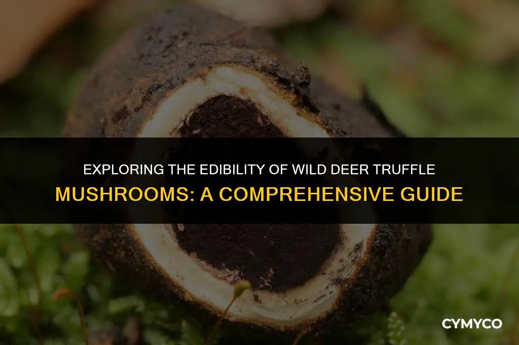 are wild deer truffle mushrooms poisonous