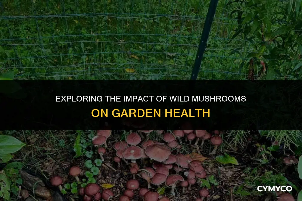are wild mushrooms bad for your garden