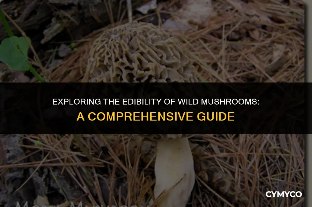are wild mushrooms edible