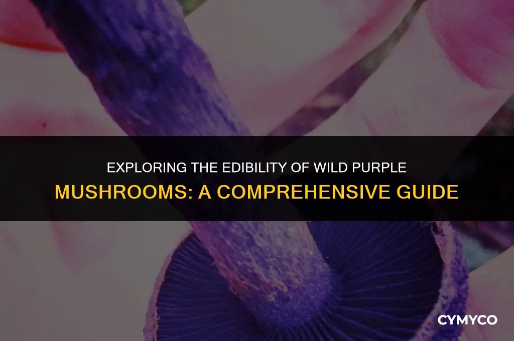 are wild purple mushrooms poisonous
