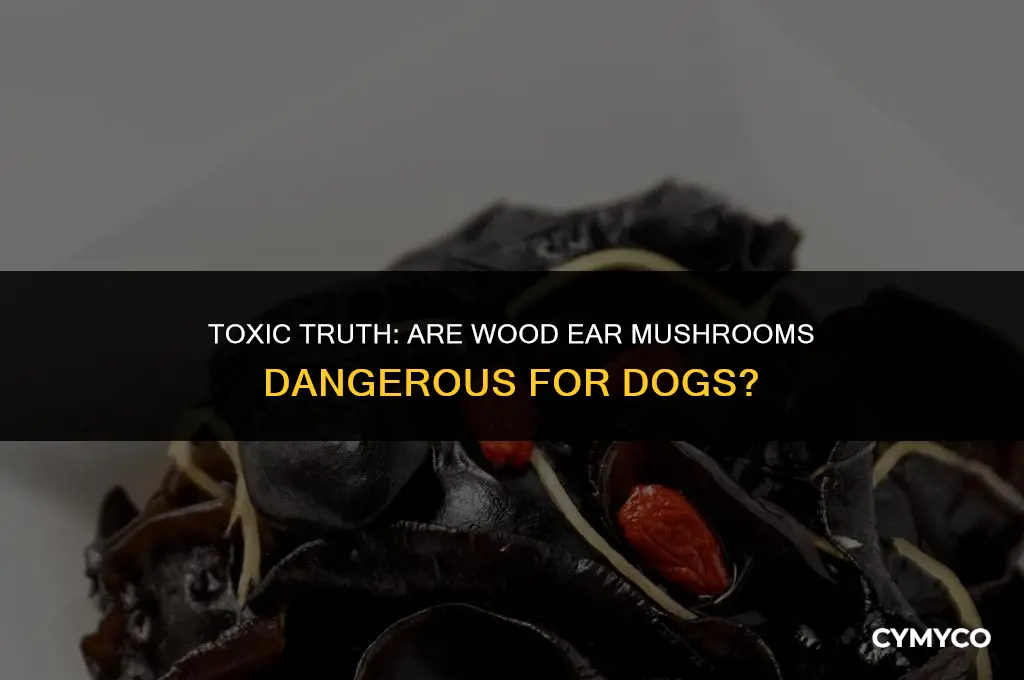 are wood ear mushrooms poisonous to dogs