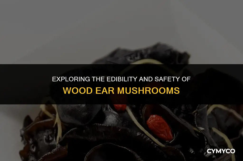 are wood ear mushrooms poisonous