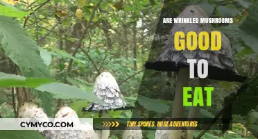 Exploring Edibility: The Truth About Wrinkled Mushrooms