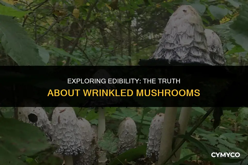 are wrinkled mushrooms good to eat
