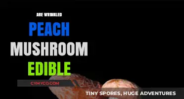 Exploring Edibility: The Truth About Wrinkled Peach Mushrooms