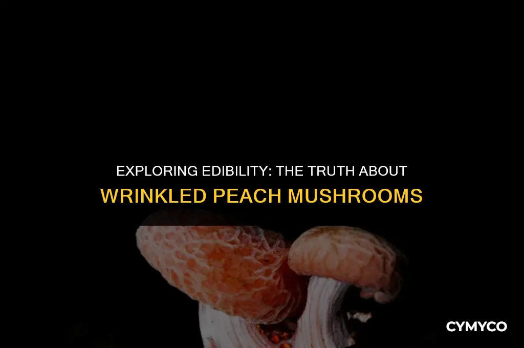 are wrinkled peach mushroom edible