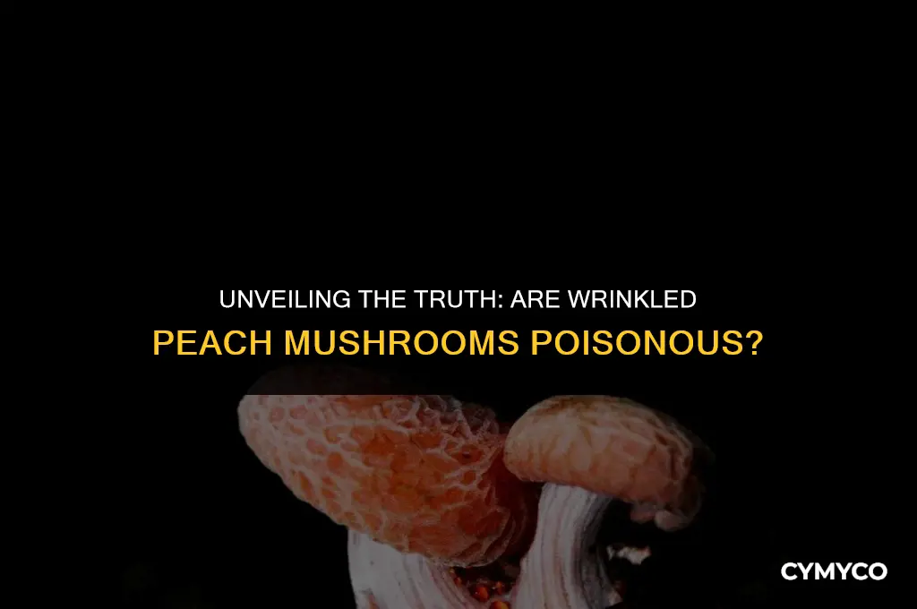 are wrinkled peach mushroom poisonous