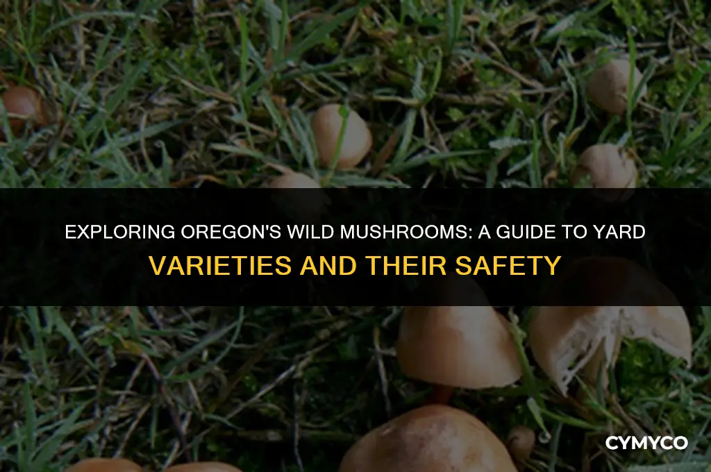 are yard mushrooms poisonous in oregon