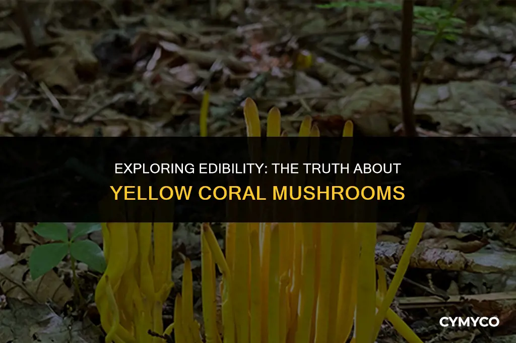 are yellow coral mushrooms edible