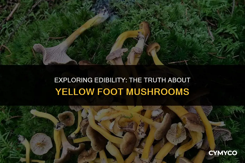 are yellow foot mushrooms edible