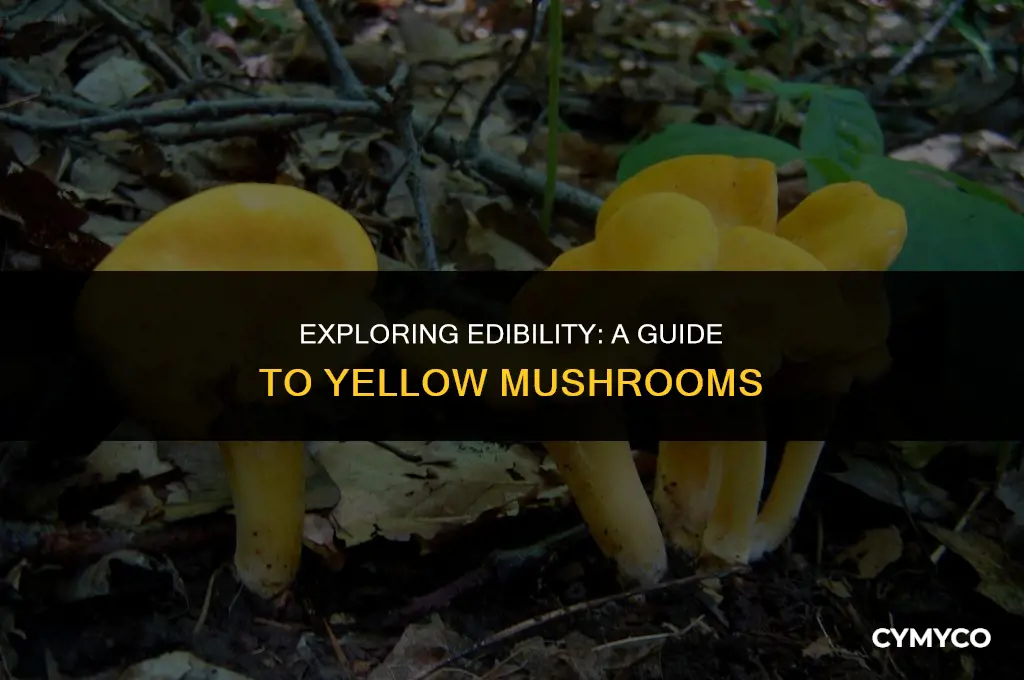 are yellow mushrooms edible