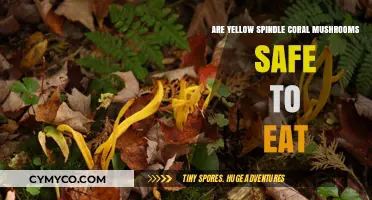 Exploring Edibility: Yellow Spindle Coral Mushrooms - Safe or Not?