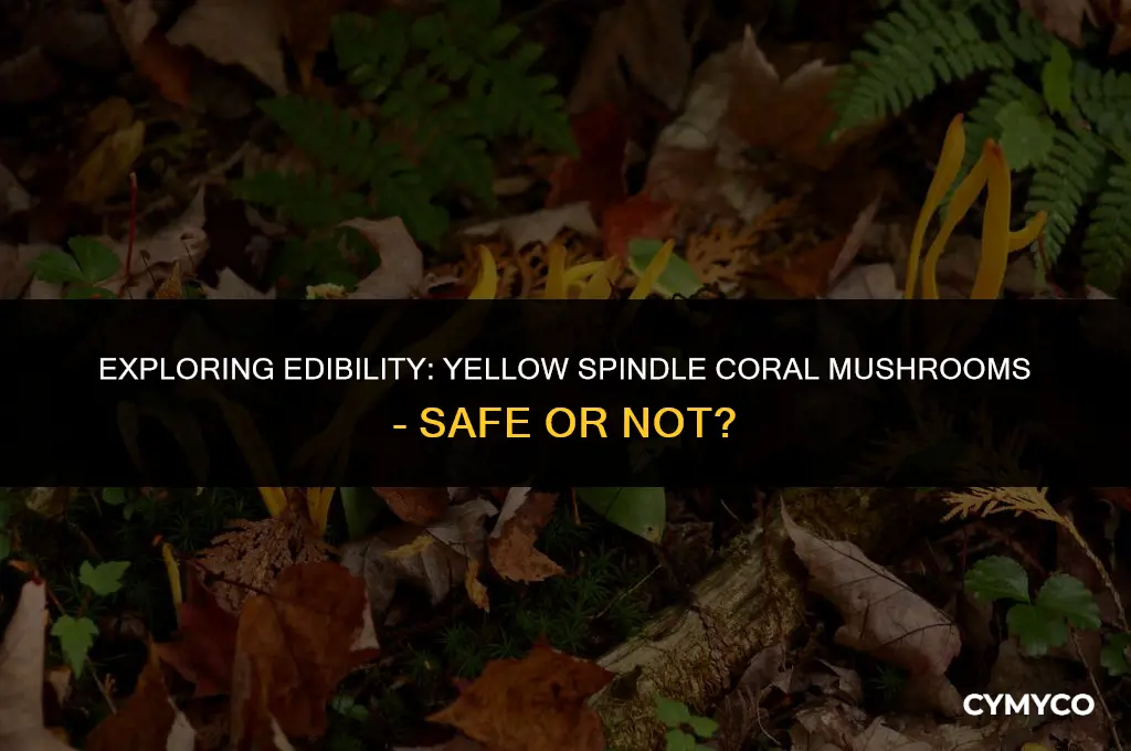 are yellow spindle coral mushrooms safe to eat