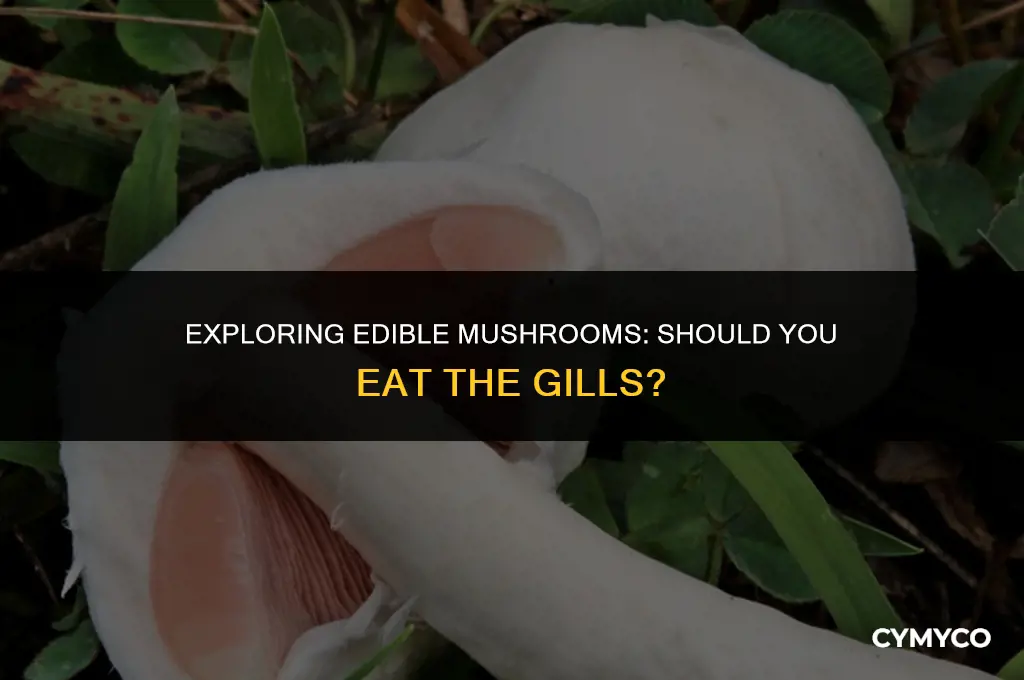 are you supposed to eat the gills of a mushroom